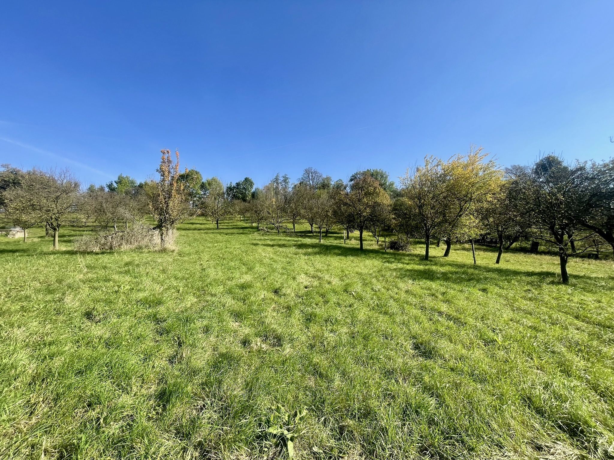 Prodej, Zahrada, Ovocný sad, 2.527m2, Bořenovice - obrázek č.9