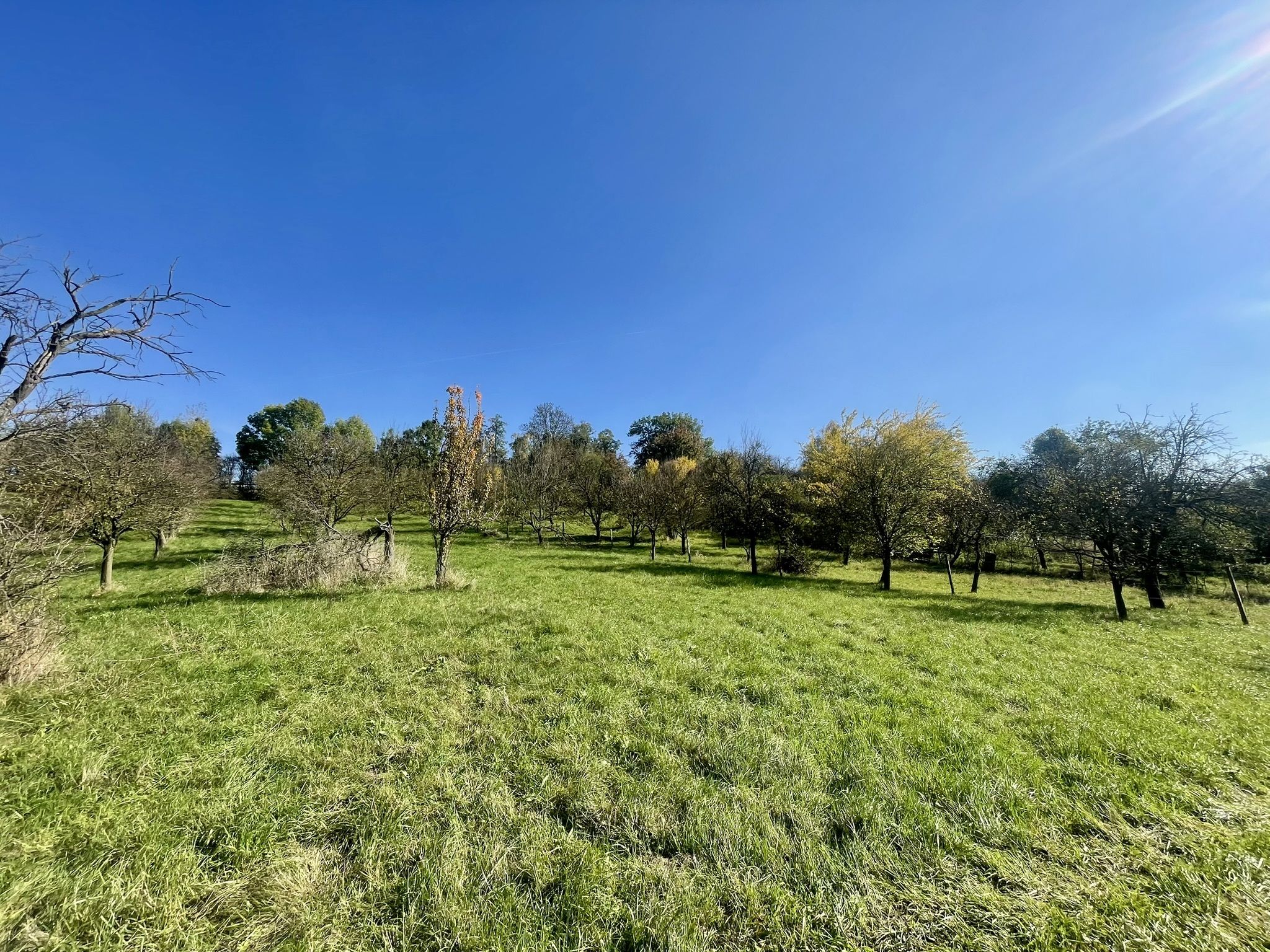 Prodej, Zahrada, Ovocný sad, 2.527m2, Bořenovice - obrázek č.11