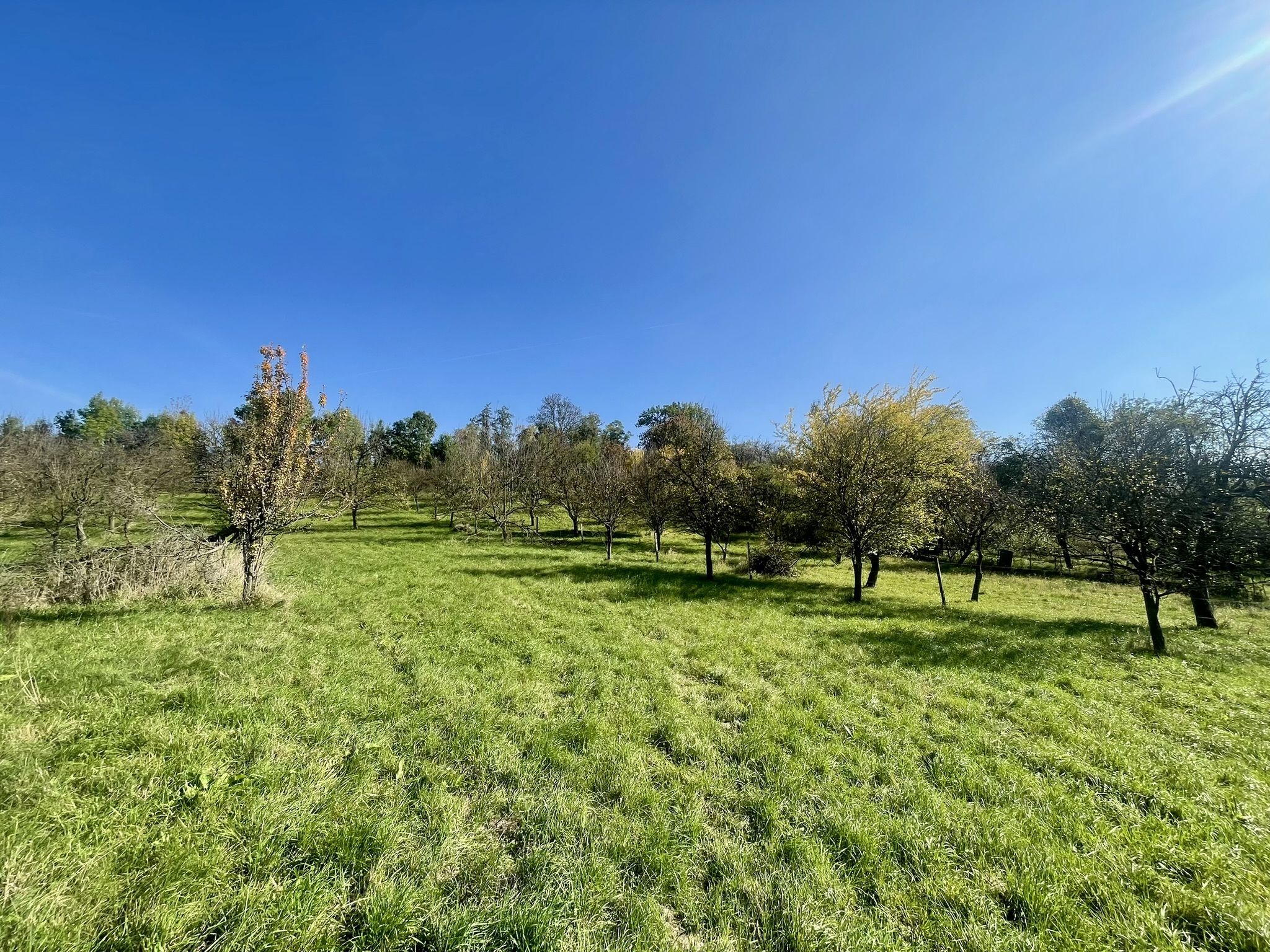 Prodej, Zahrada, Ovocný sad, 2.527m2, Bořenovice - obrázek č.12