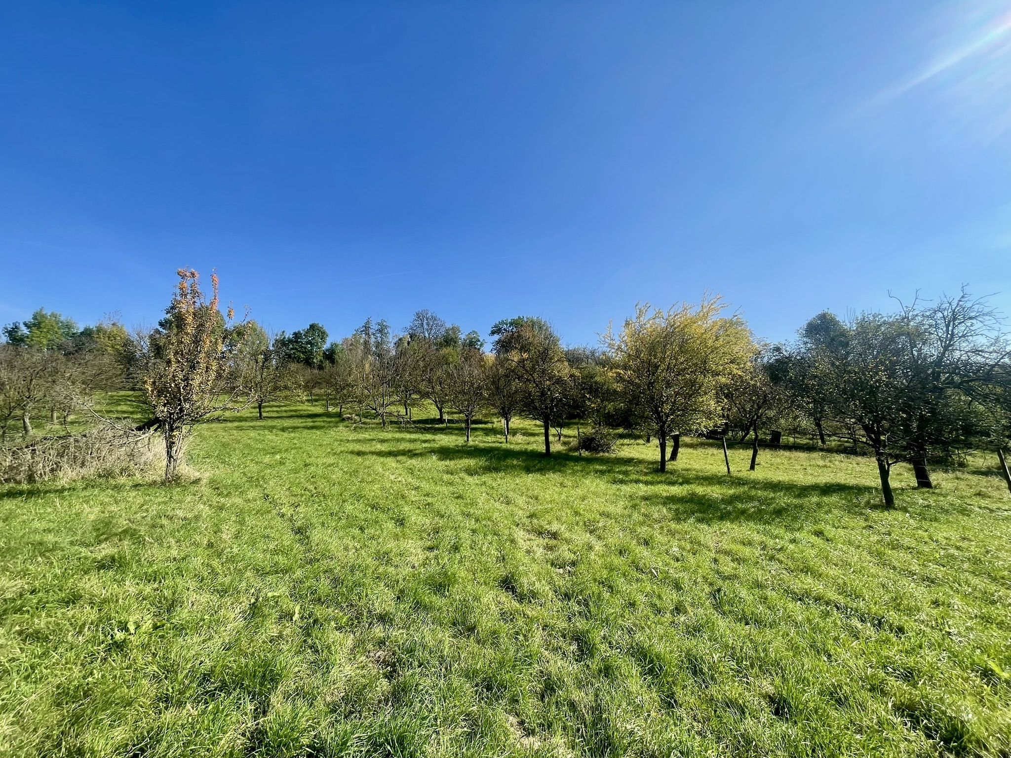 Prodej, Zahrada, Ovocný sad, 2.527m2, Bořenovice - obrázek č.14