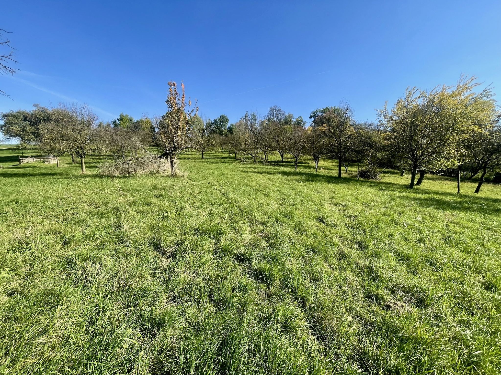 Prodej, Zahrada, Ovocný sad, 2.527m2, Bořenovice - obrázek č.15