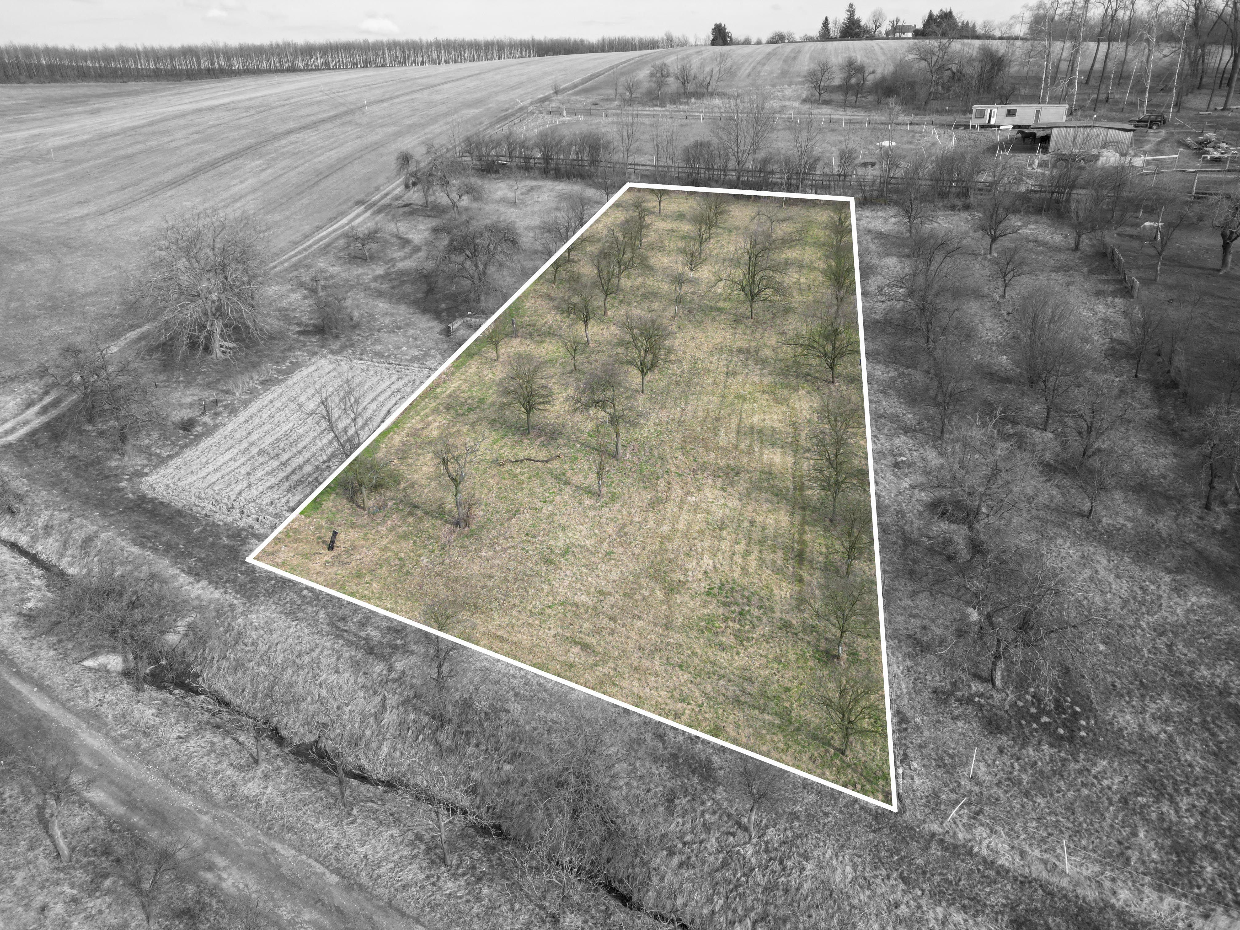 Prodej, Zahrada, Ovocný sad, 2.527m2, Bořenovice - obrázek č.19