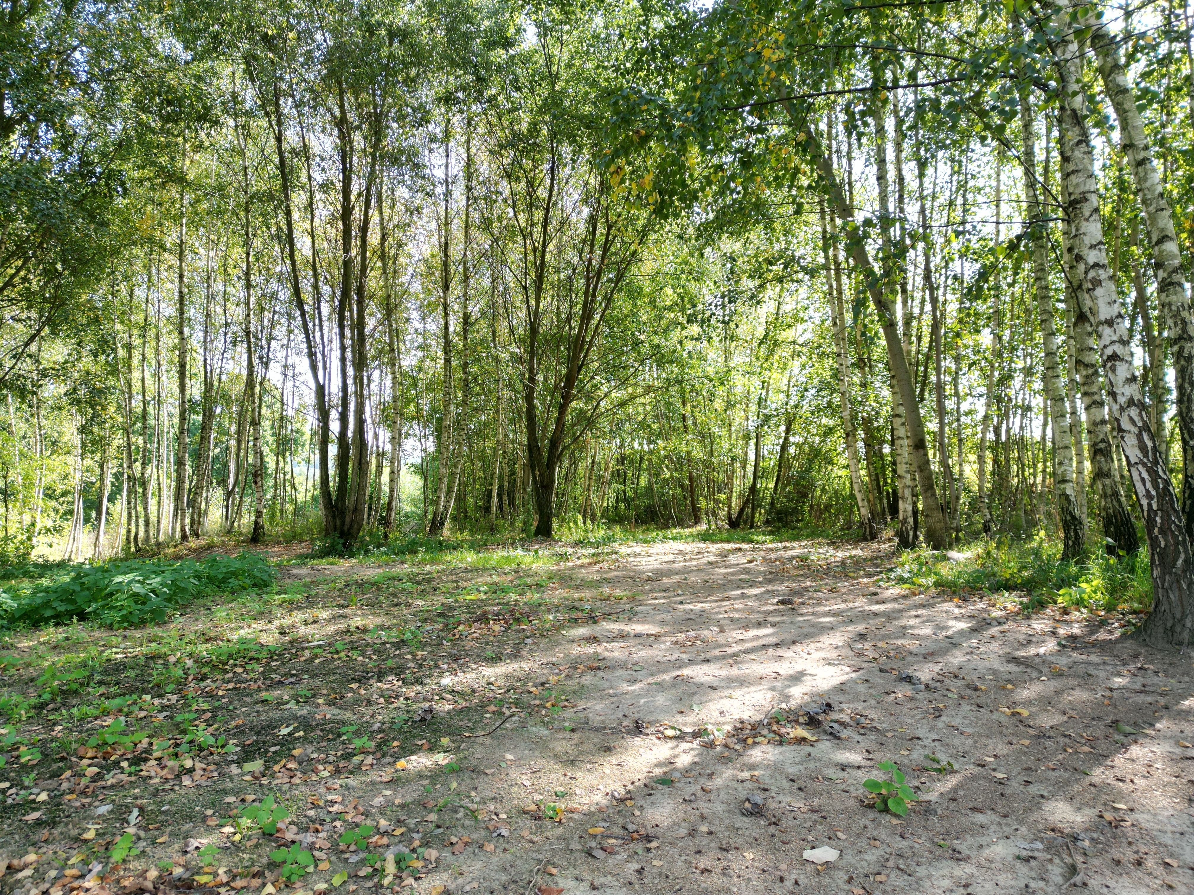 Prodej pozemku v Šumperku 1586 m² - obrázek č.6