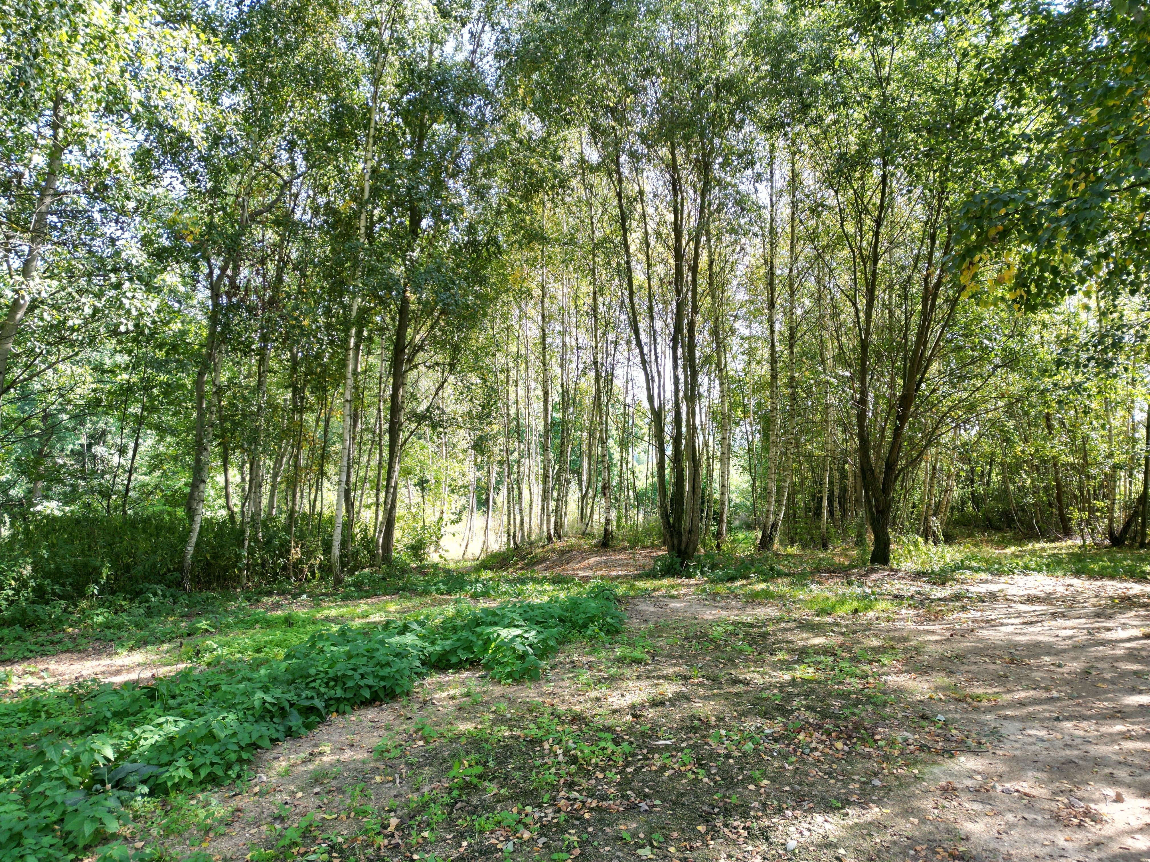 Prodej pozemku v Šumperku 1327 m² - obrázek č.7