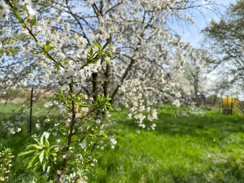 titulni obrazek