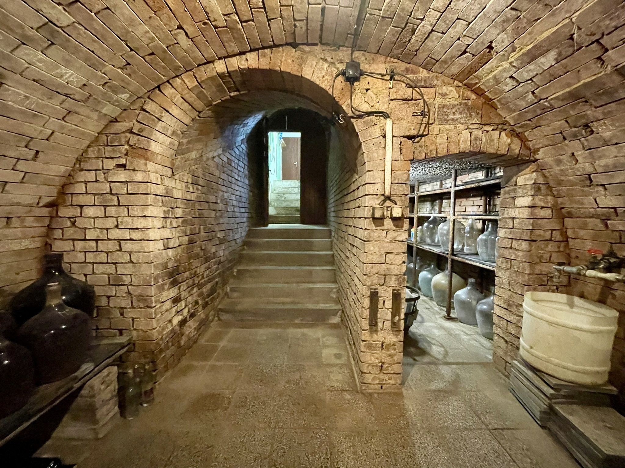 Prodej, Vinný sklep, 1755m2, Mikulčice - titulní obrázek