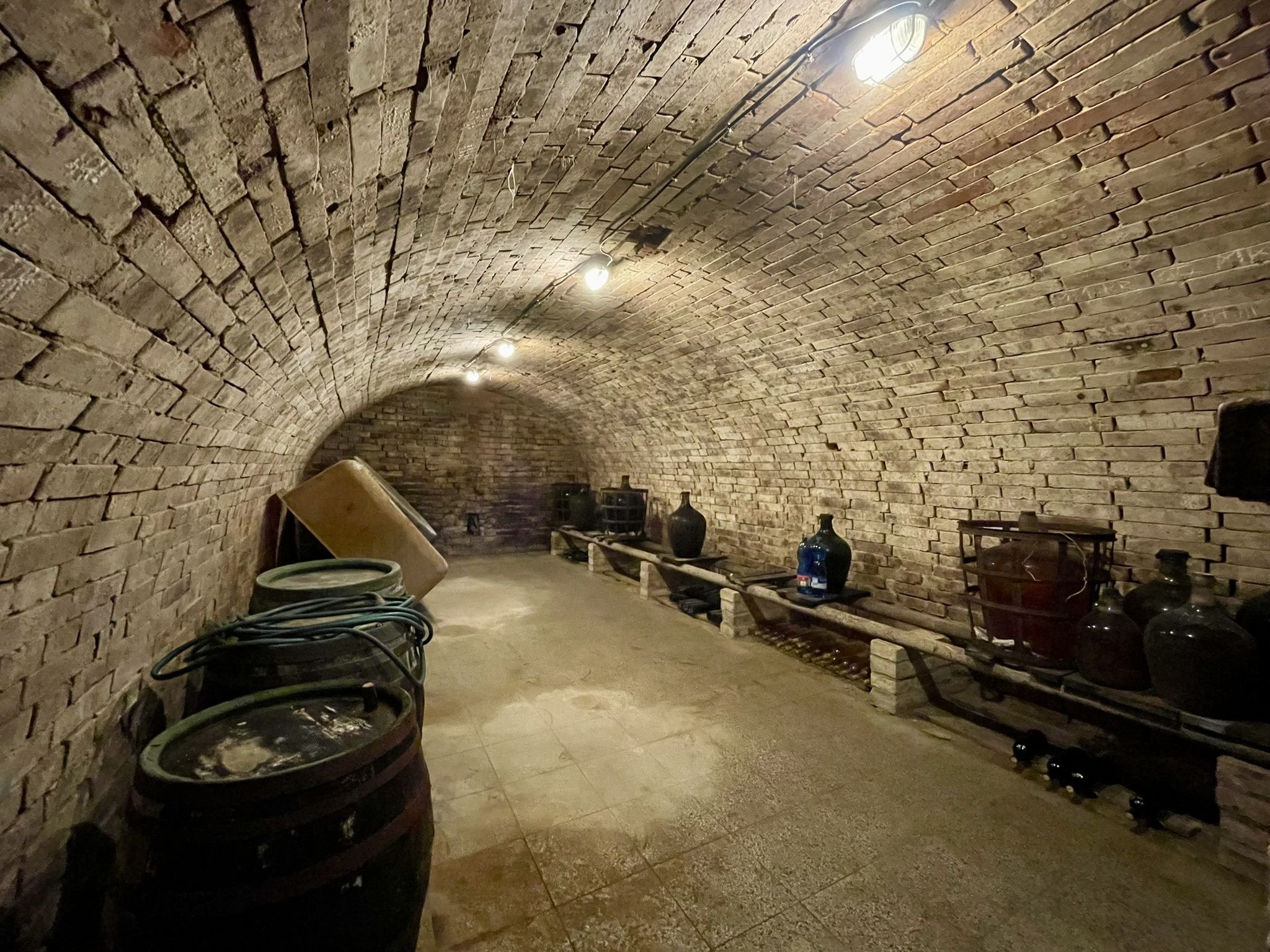 Prodej, Vinný sklep, 1755m2, Mikulčice - obrázek č.2