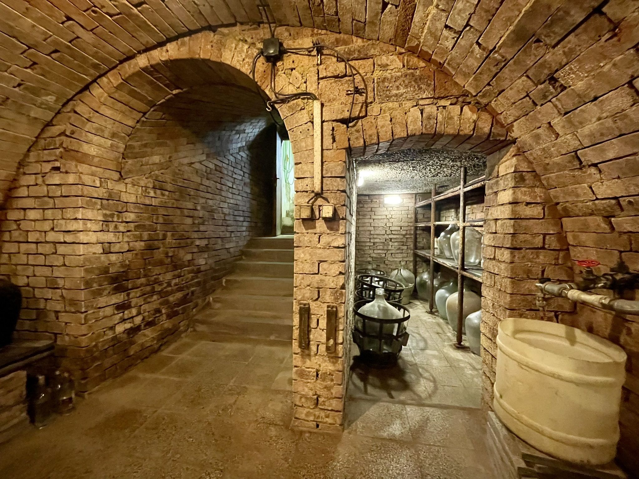 Prodej, Vinný sklep, 1755m2, Mikulčice - obrázek č.3