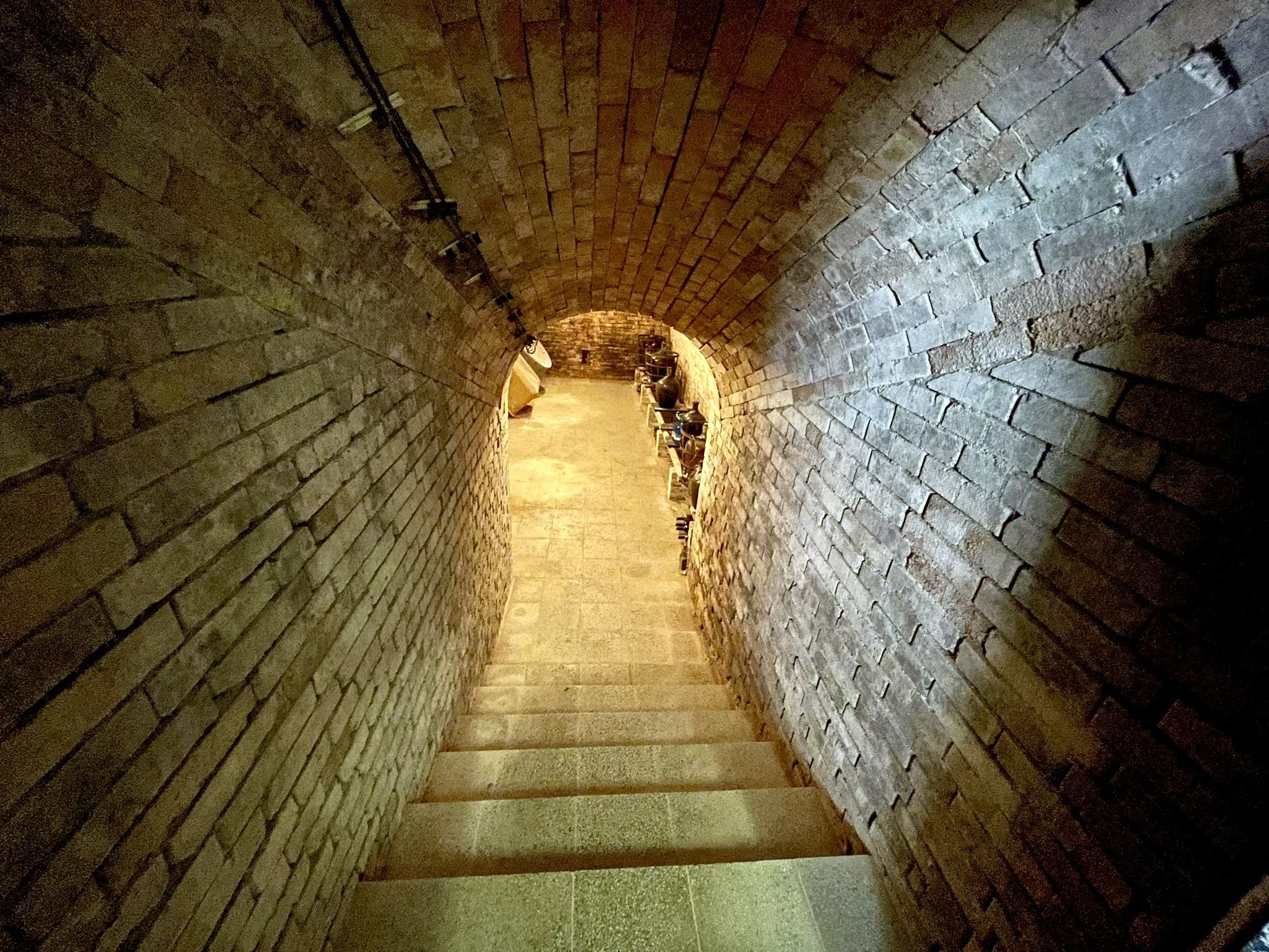 Prodej, Vinný sklep, 1755m2, Mikulčice - obrázek č.4