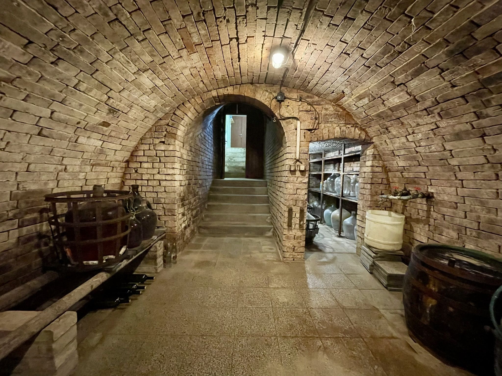 Prodej, Vinný sklep, 1755m2, Mikulčice - obrázek č.9