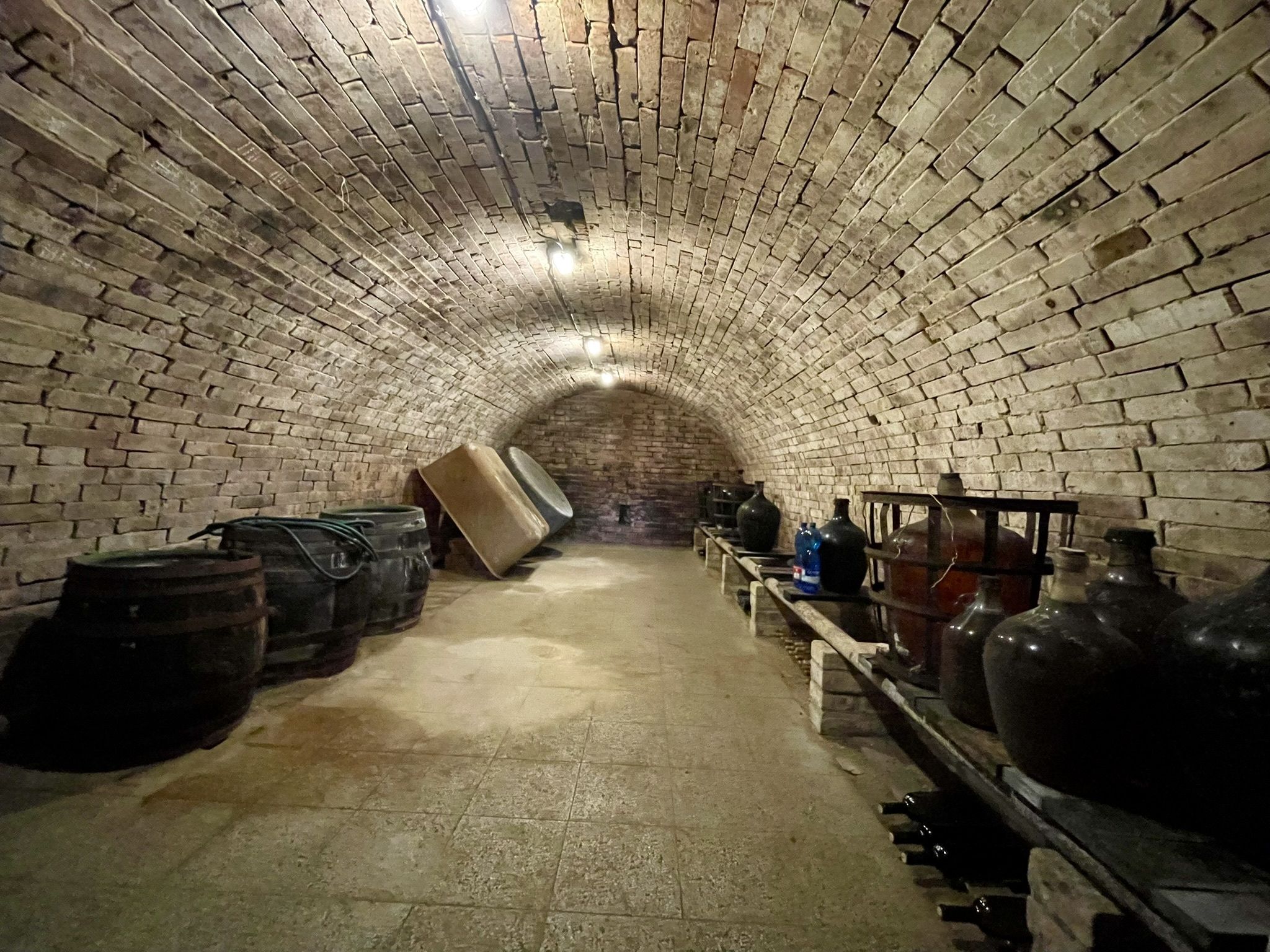 Prodej, Vinný sklep, 1755m2, Mikulčice - obrázek č.10