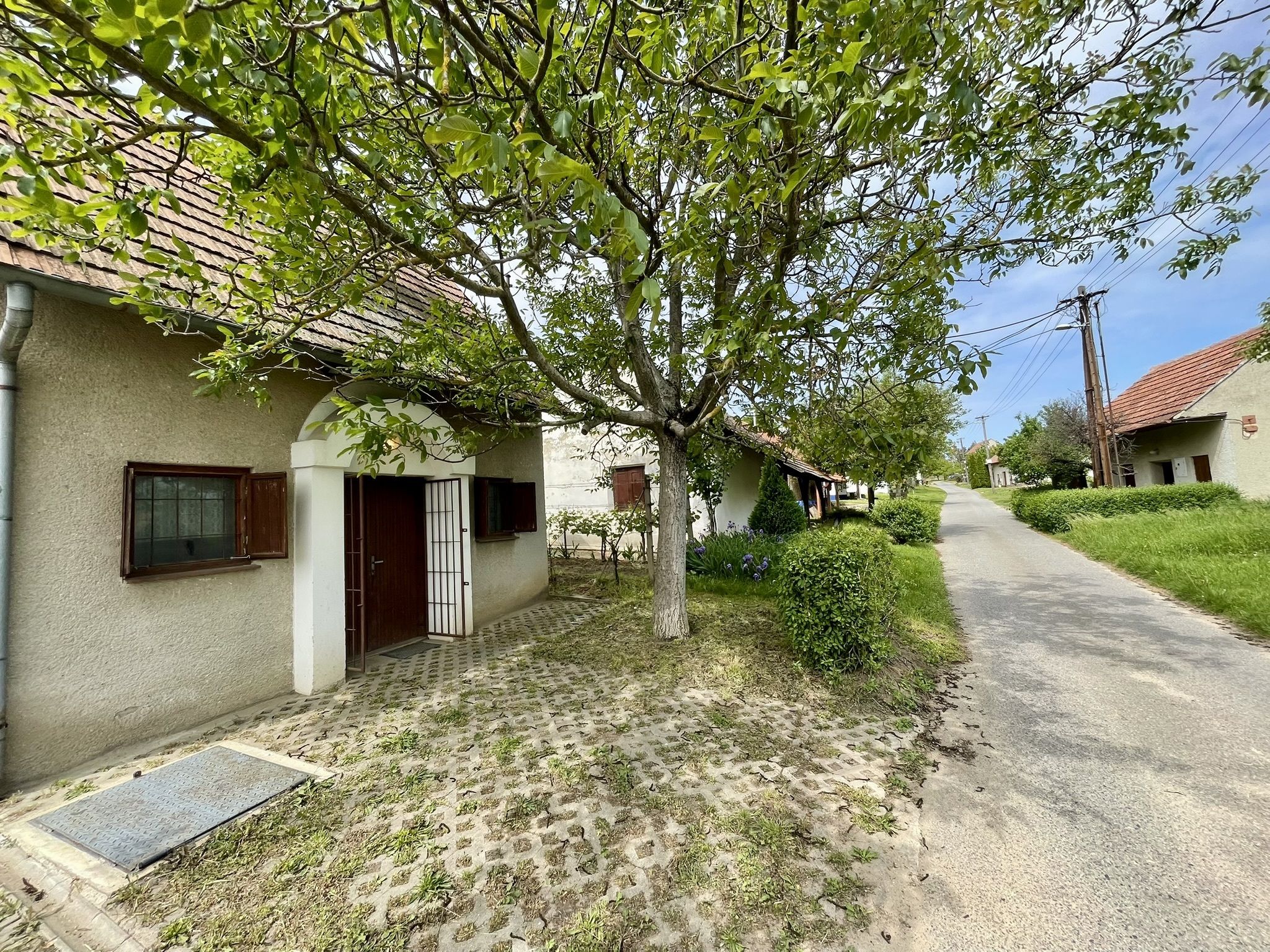 Prodej, Vinný sklep, 1755m2, Mikulčice - obrázek č.12