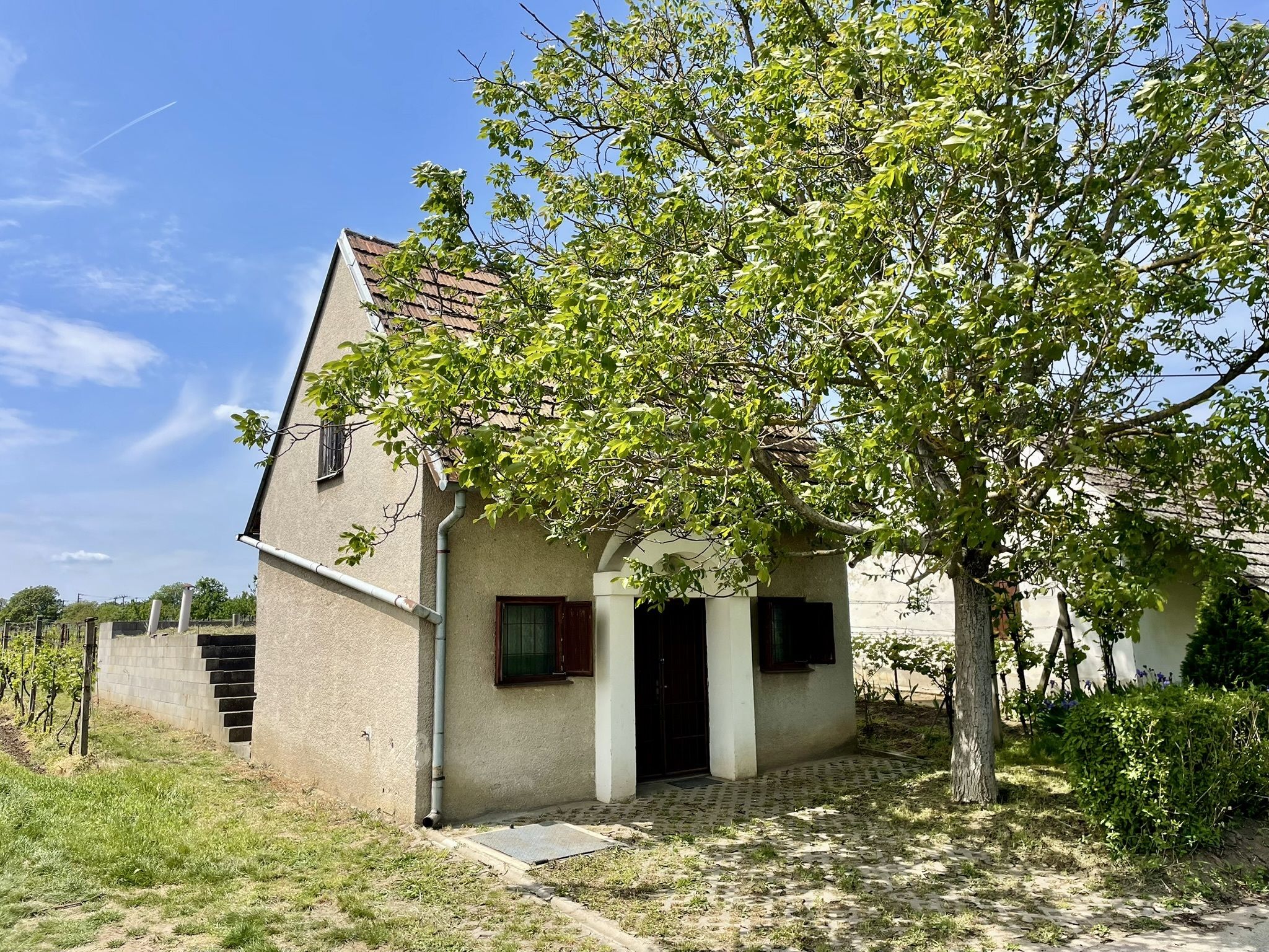 Prodej, Vinný sklep, 1755m2, Mikulčice - obrázek č.13