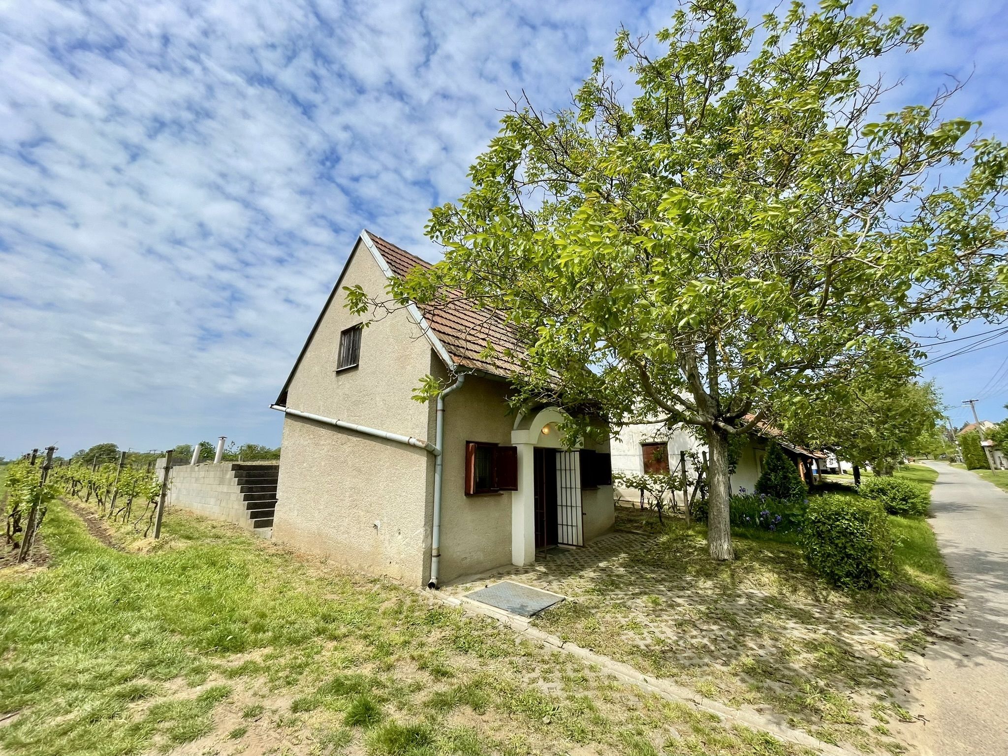 Prodej, Vinný sklep, 1755m2, Mikulčice - obrázek č.20