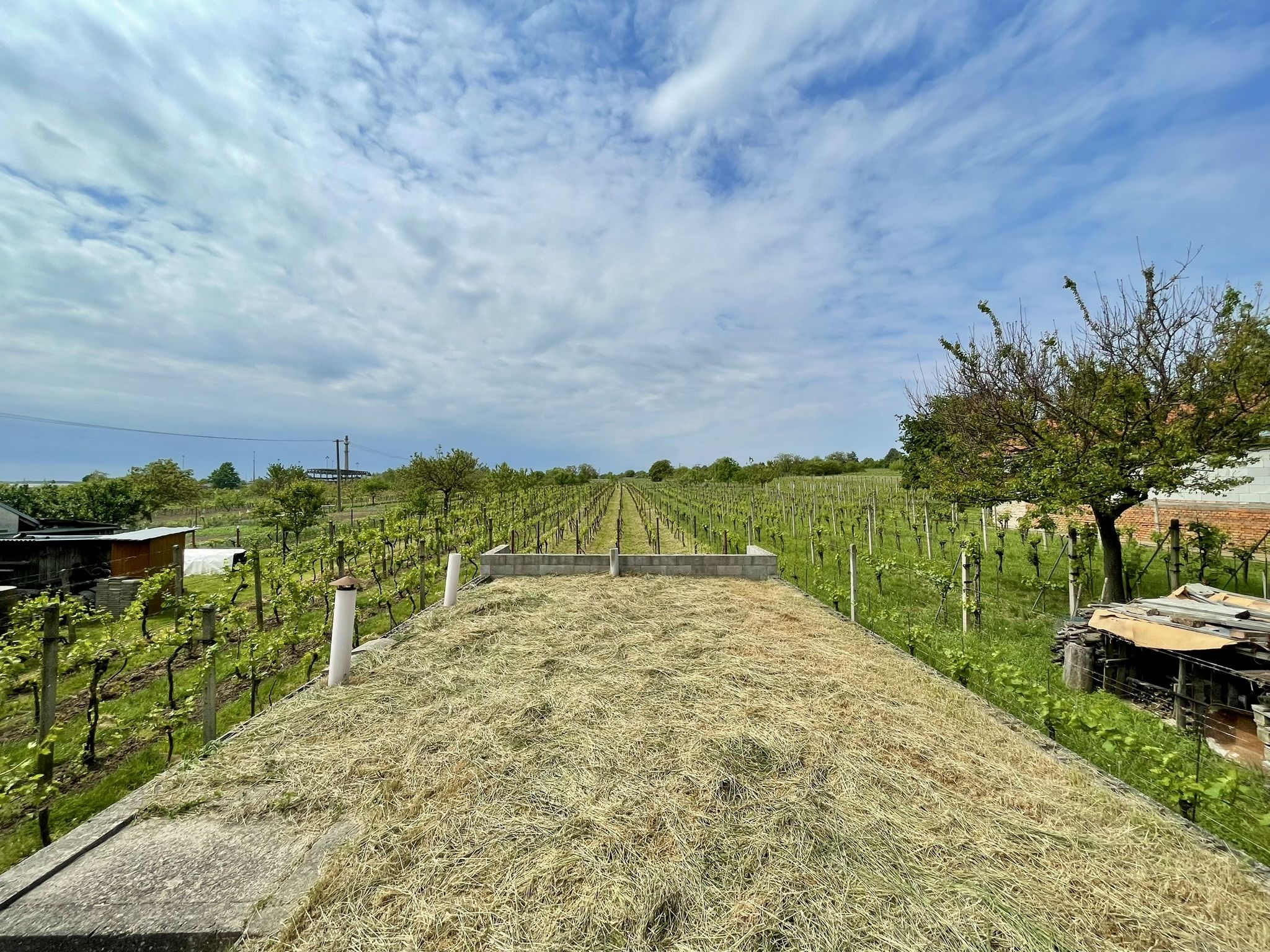 Prodej, Vinný sklep, 1755m2, Mikulčice - obrázek č.22