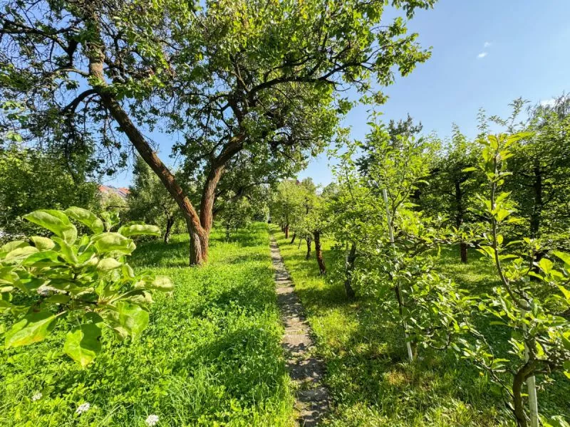 titulni obrazek